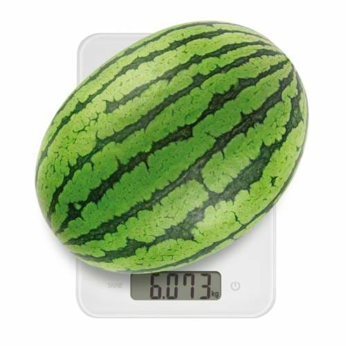 Фото - Весы кухонные tescoma 634514 Accura