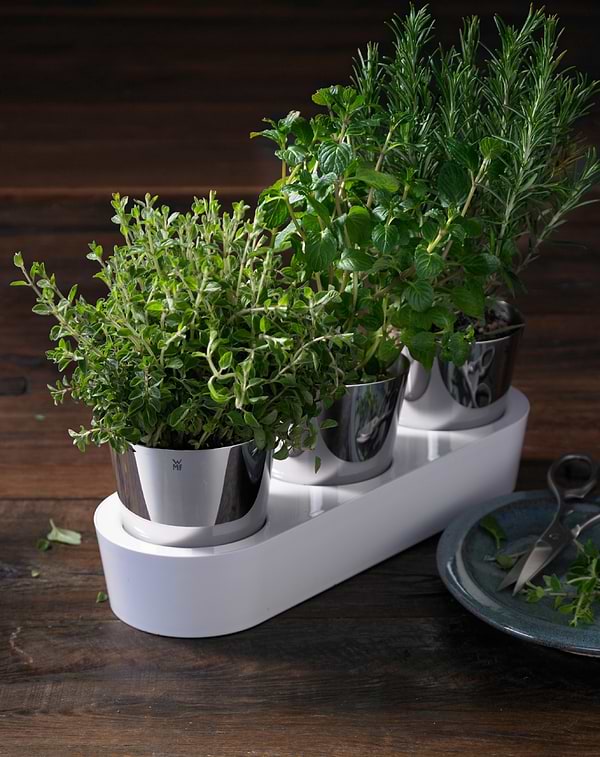 Фото - Умный цветочный вазон WMF 641306040 GOURMET 3 пр.