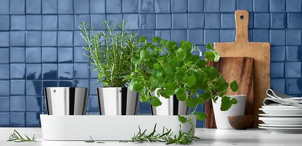 Фото - Умный цветочный вазон WMF 641306040 GOURMET 3 пр.