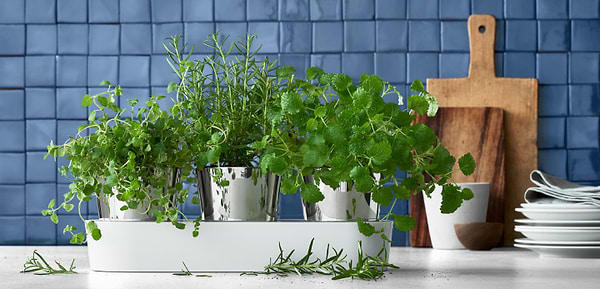 Фото - Умный цветочный вазон WMF 641306040 GOURMET 3 пр.