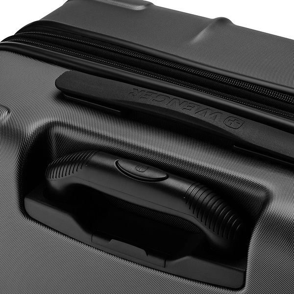 Фото - Чемодан Wenger Oryson (653209)