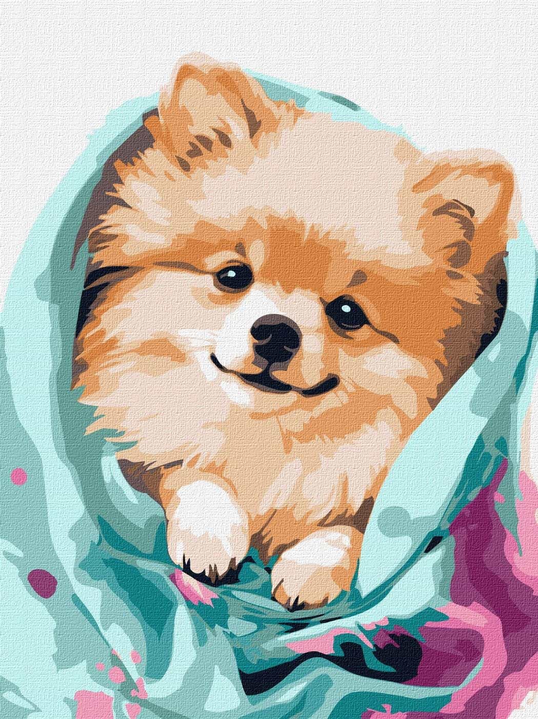 Картина за номерами Ideyka "Щасливий шпіц" 30х40см (KHO6545) - Фото 1