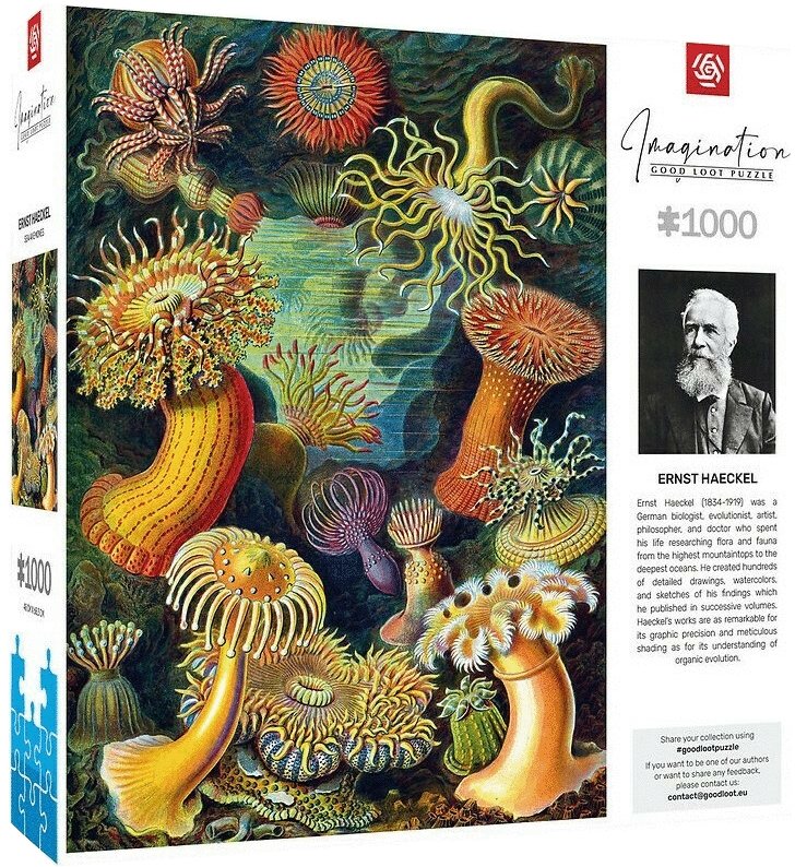 Пазлы (8+) Good Loot Imagination: Ernst Haeckel: Sea Anemones/Stworzenia morskie Puzzles 1000 шт. (5908305244943)