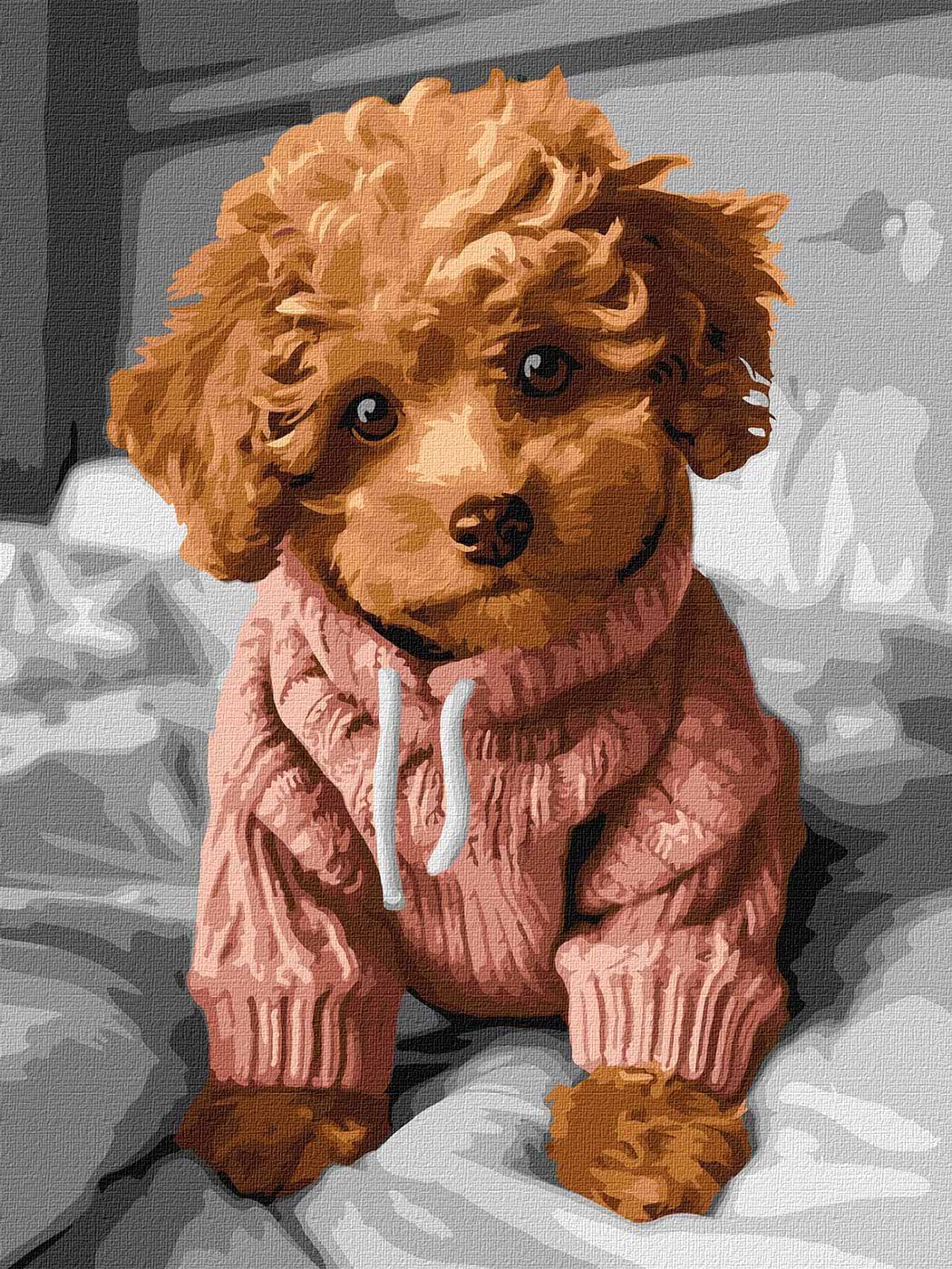 Картина по номерам Ideyka Очаровательный мальтипу 30х40 см (KHO6589)