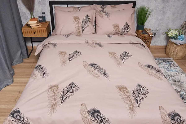 Фото - Комплект постельного белья Moon&Star Бязь Gold Люкс Feathers 160х220 нав. 2х40х60 (MS-820004360)