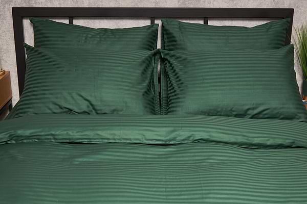 Фото - Наволочка Moon&Star набор Satin Stripe Stripe Verdant 50х50 2 шт. (MS-840000656)