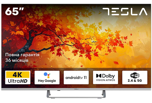 Фото - Телевизор Tesla 65E635SUS
