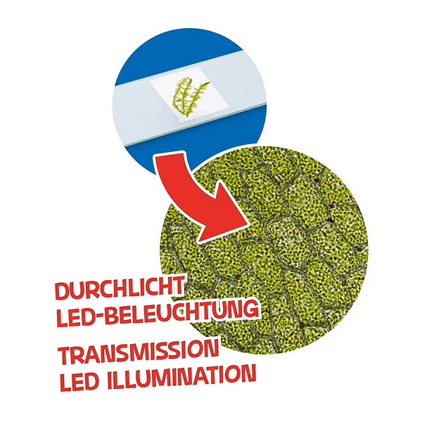 Фото - Набір для дослідження Bresser Junior 40x-640x Orange (8851301)