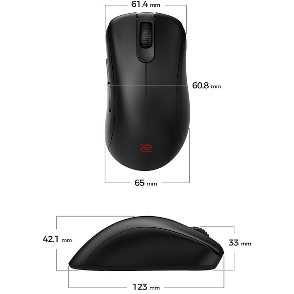 Фото - Мышь беспроводная игровая Zowie EC2-DW Black (9H.N4VBE.A2E)