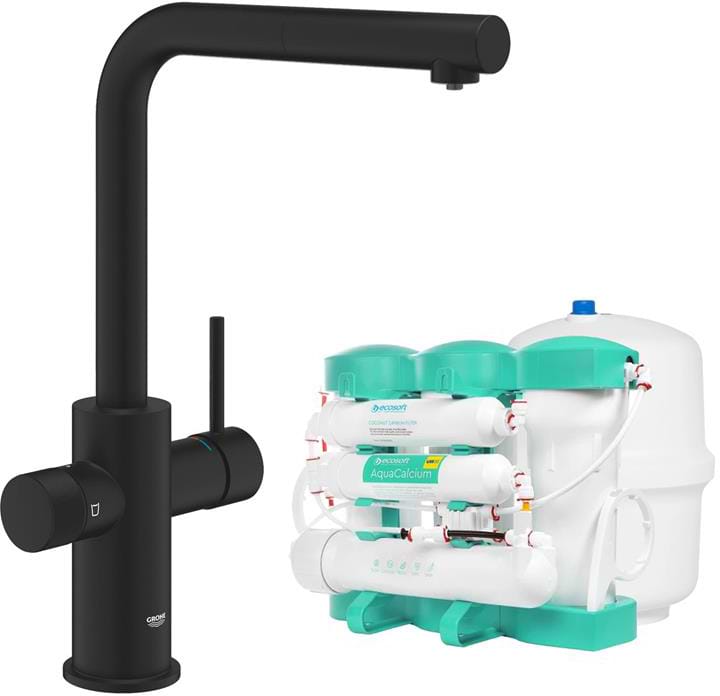 Купити Кухонний змішувач Grohe Blue Pure Minta + Ecosoft P’URE AQUACALCIUM Mint (MO67530590KF) - Фото 1 Кухонний змішувач Grohe Blue Pure Minta + Ecosoft P’URE AQUACALCIUM Mint (MO67530590KF) - Фото 1