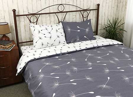 Купить Комплект постельного белья Руно Fly (677.114Б_Fly) - Фото 1 Комплект постельного белья Руно Fly (677.114Б_Fly) - Фото 1