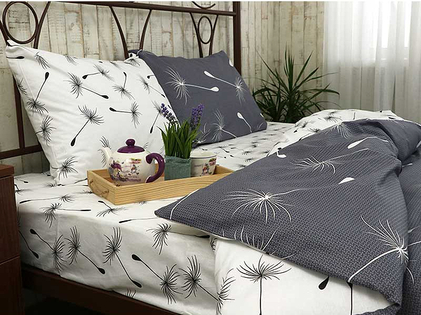 Фото - Комплект постельного белья Руно Fly (677.114Б_Fly)