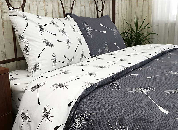 Фото - Комплект постельного белья Руно Fly (677.114Б_Fly)