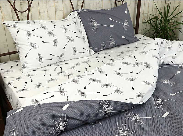 Фото - Комплект постельного белья Руно Fly (677.114Б_Fly)