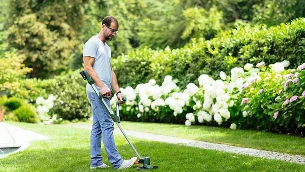 Фото - Тример садовий Bosch UniversalGrassCut 18V-260 (0.600.8C1.D03)