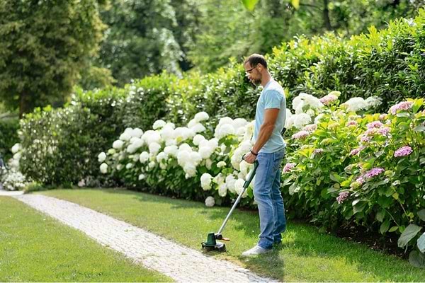 Фото - Тример садовий Bosch UniversalGrassCut 18V-260 (0.600.8C1.D03)