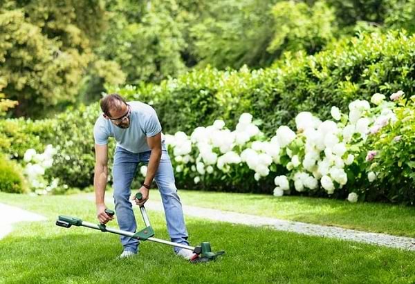 Фото - Тример садовий Bosch UniversalGrassCut 18V-260 (0.600.8C1.D03)