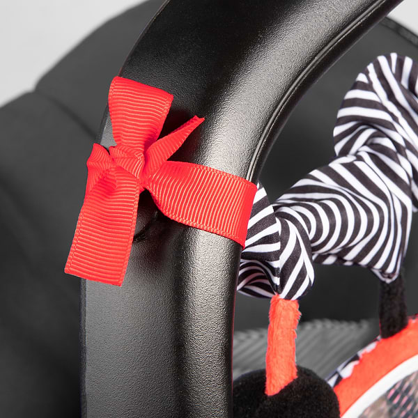 Фото - Дуга-розтяжка Canpol babies Sensory Toys (68/071_red)