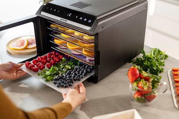 Фото - Сушилка для фруктов и овощей Gorenje FDK600DB