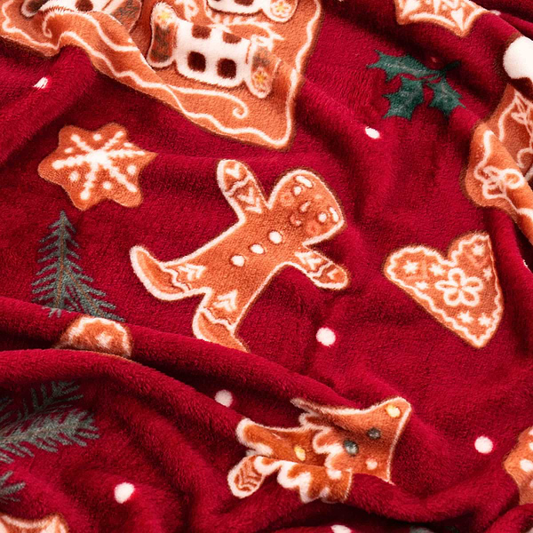 Фото - Плед полуторный Ardesto Christmas Flannel 160х200 см (ART0121PB)