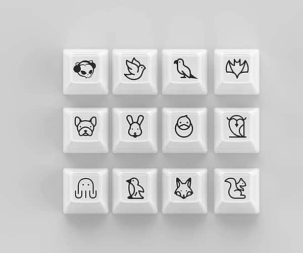 Фото - Дополнительные сменные клавиши для клавиатуры Akko ASA Clear printed keycap White V2 Fullset (6925758621342)