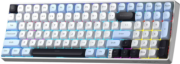 Фото - Клавіатура бездротова ігрова Aula S100pro Brown switch 2.4G wireless White/Black EN/UA (6948391205755)