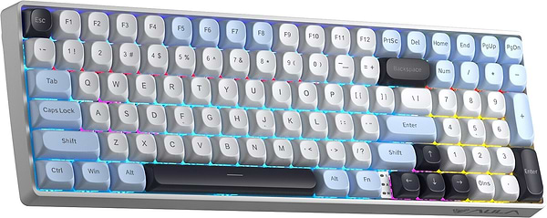 Фото - Клавіатура бездротова ігрова Aula S100pro Brown switch 2.4G wireless White/Black EN/UA (6948391205755)