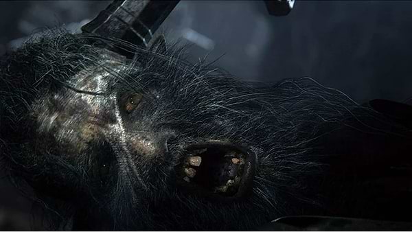 Фото - Ігровий диск PS4 Bloodborne