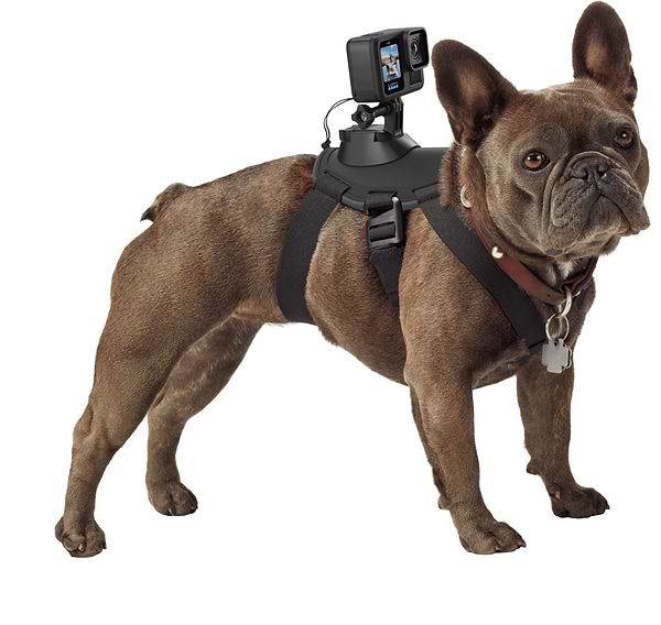 Фото - Уцінка - Екшн-камера GoPro HERO13 Black