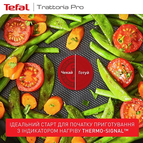 Фото - Сковорода универсальная Tefal Trattoria Pro 26 см (G6120544)