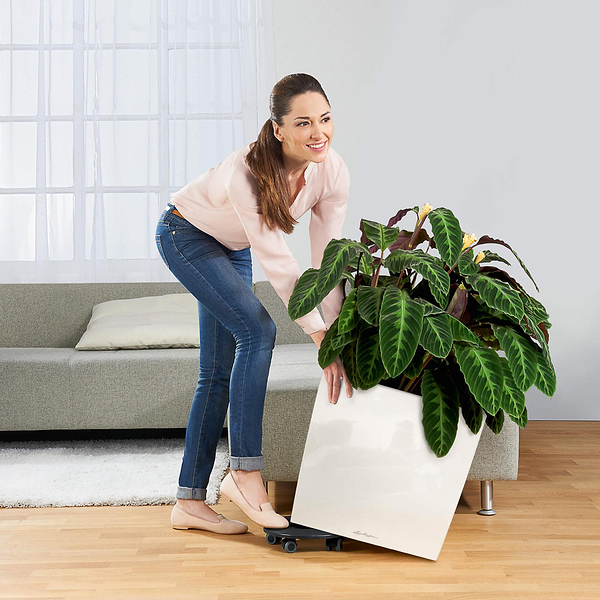 Фото - Вазон Lechuza CUBE 50/50/50 Premium Білий 16560