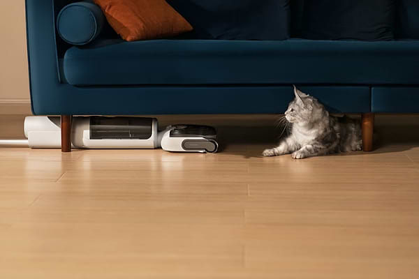 Фото - Пылесос ручной моющий RoboRock F25 RT