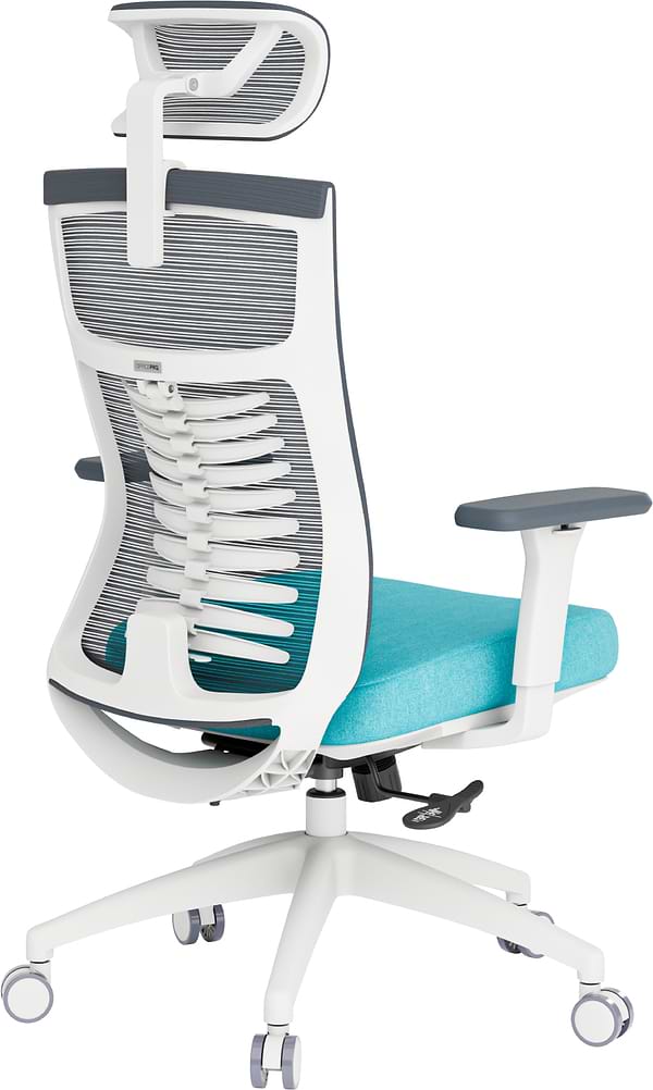 Фото - Крісло офісне OfficePro Balance (OC550-W-DG-BL) White/Dark Gray/Blue