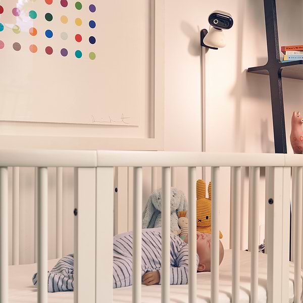 Фото - Видеоняня Motorola PIP1000 Connect