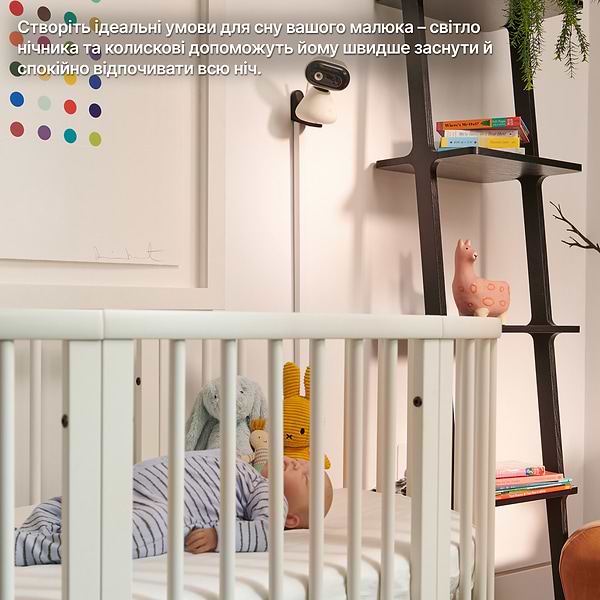 Фото - Видеоняня Motorola PIP1200