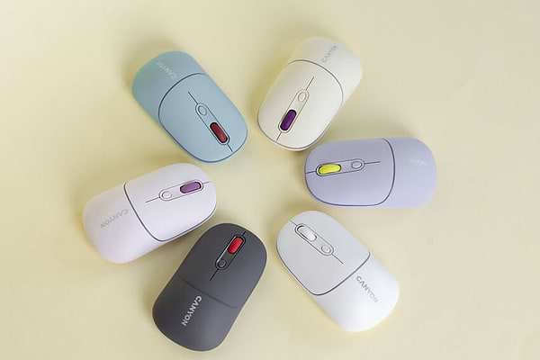 Фото - Мышь беспроводная Canyon MW-22 Dual Band RGB Wireless Rice (CNS-CMSW22RC)