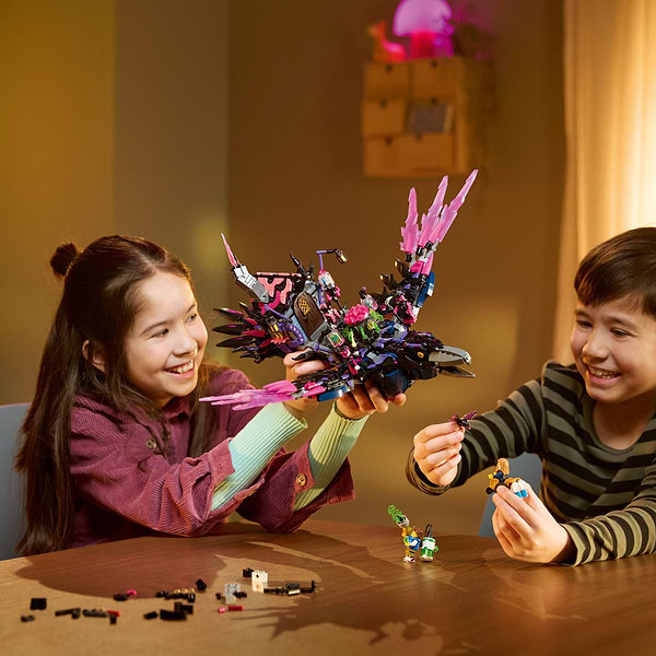 Фото - Конструктор LEGO DREAMZZZ™ Полночный ворон Неведьмы (71478)