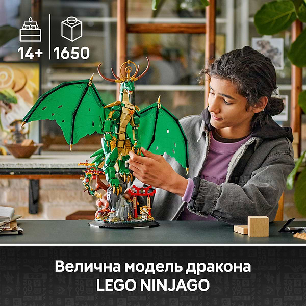 Фото - Конструктор LEGO Ninjago Вартовий дракон (71847)