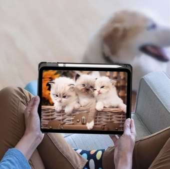 Фото - Чохол для планшета BeCover Soft Edge TPU з кріпленням Apple Pencil for Apple iPad Air (4/5) 2020/2022 10.9'' Gray (711699)