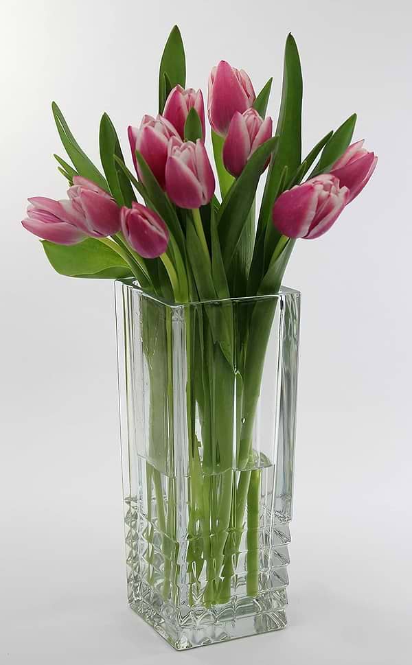 Фото - Ваза Bormioli Rocco DUEMILA 23 см (331059GN4021990)