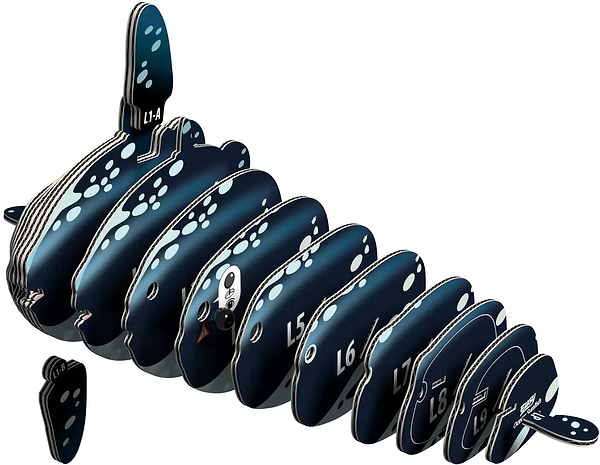 Фото - 3D пазли EUGY Зоопарк: Риба-місяць (XEG-132)