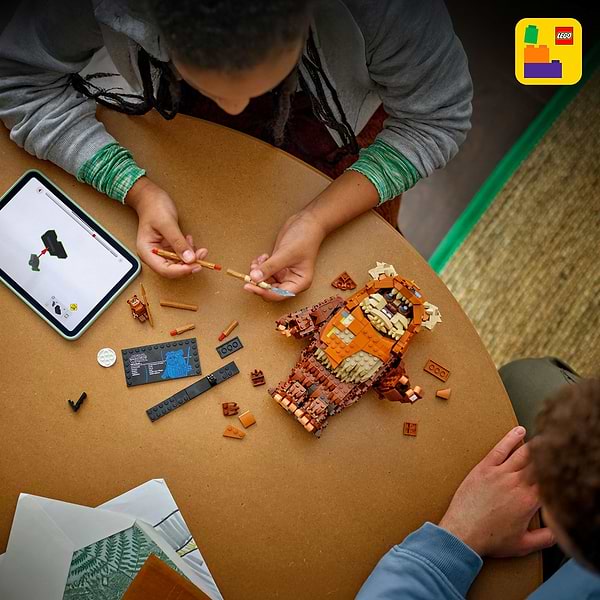 Фото - Конструктор LEGO  Star Wars™ Евок Вікет (75430)