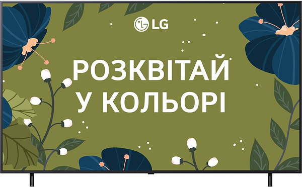 Фото - Телевизор LG 55QNED80A6A