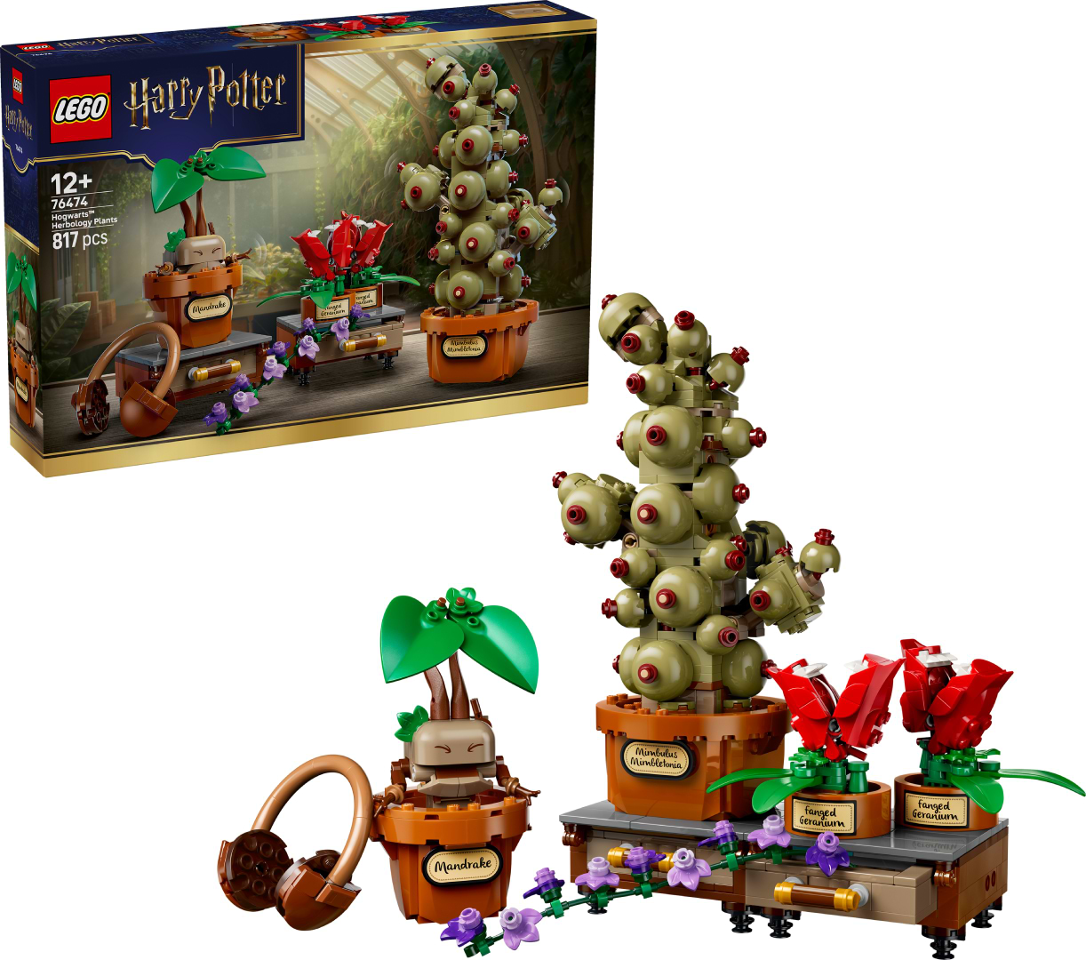 Конструктор LEGO  Harry Potter™ Рослини з курсу гербології в Гоґвортсі (76474)