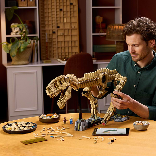 Фото - Конструктор LEGO Jurassic World Окаменелости динозавров: тираннозавр (76968)