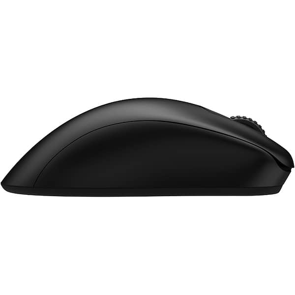 Фото - Мышь беспроводная игровая Zowie EC1-DW Black (9H.N4TBE.A2E)