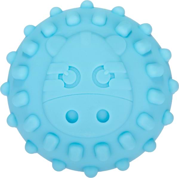 Фото - М'ячик для малюка Canpol babies 6 шт. (79/402)