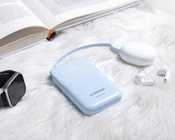 Фото - Батарея мобильная Canyon OnPower 101 built-in cable 10000 mAh PD22.5W Blue (CNS-CPB101BL)