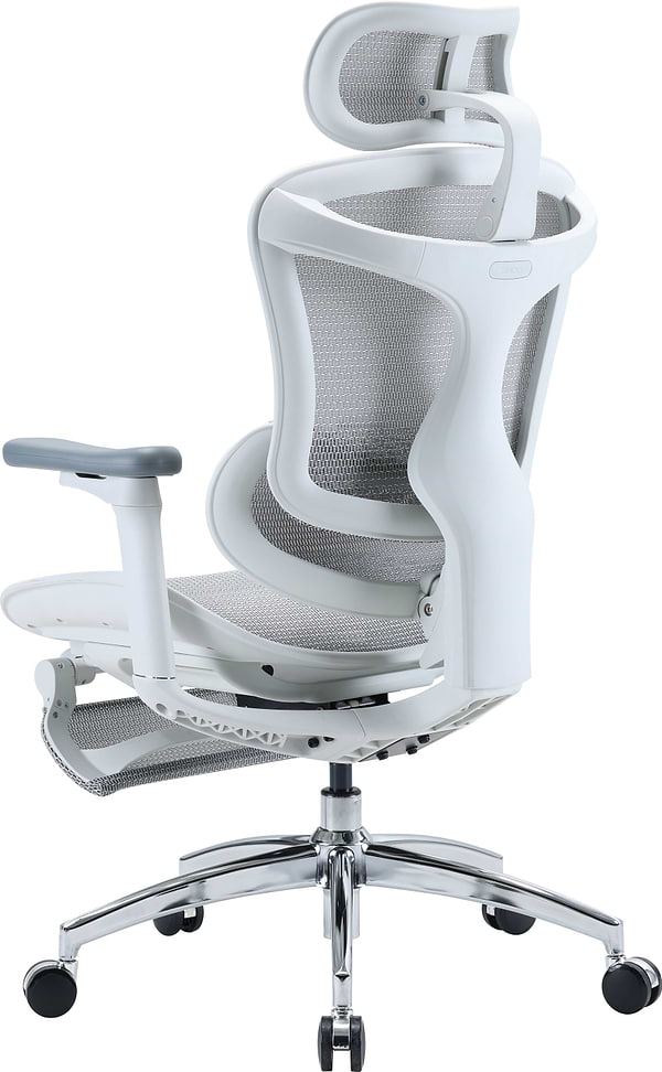 Фото - Кресло офисное Sihoo DORO C300L Mesh White with footrest (DORO-C300L-A3-102-JT)