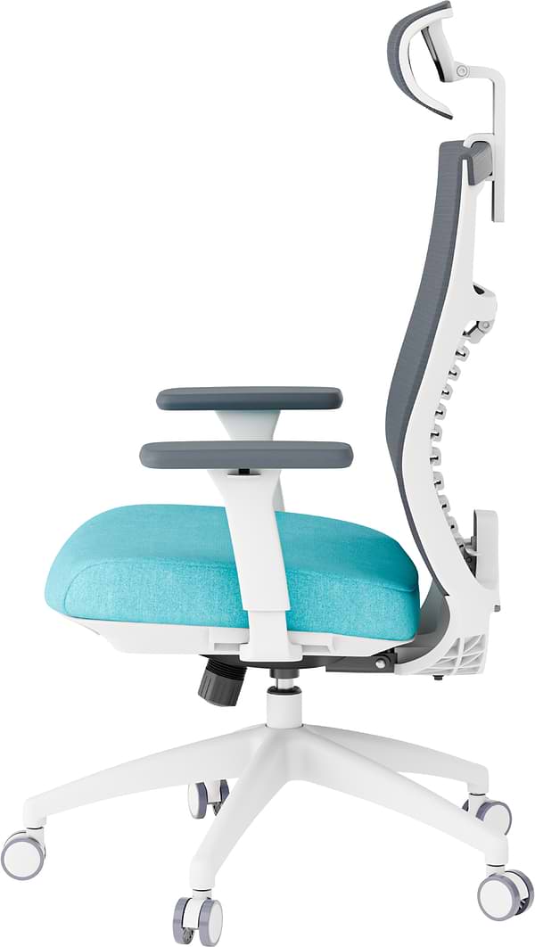 Фото - Крісло офісне OfficePro Balance (OC550-W-DG-BL) White/Dark Gray/Blue